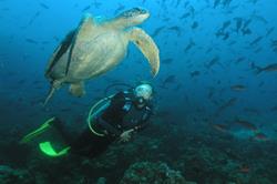 Galapagos Islands